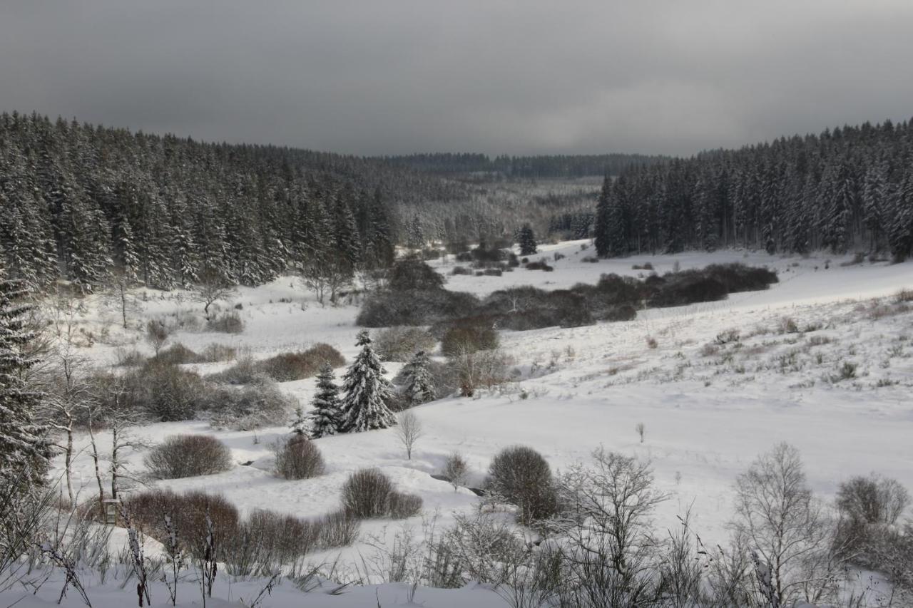 Le Nid Des Mesanges Vila Büllingen Exterior foto