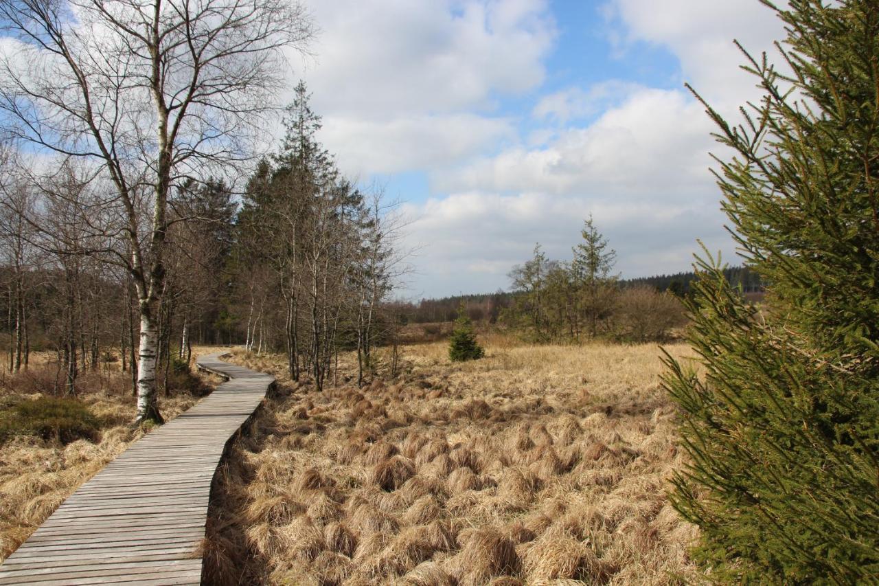 Le Nid Des Mesanges Vila Büllingen Exterior foto