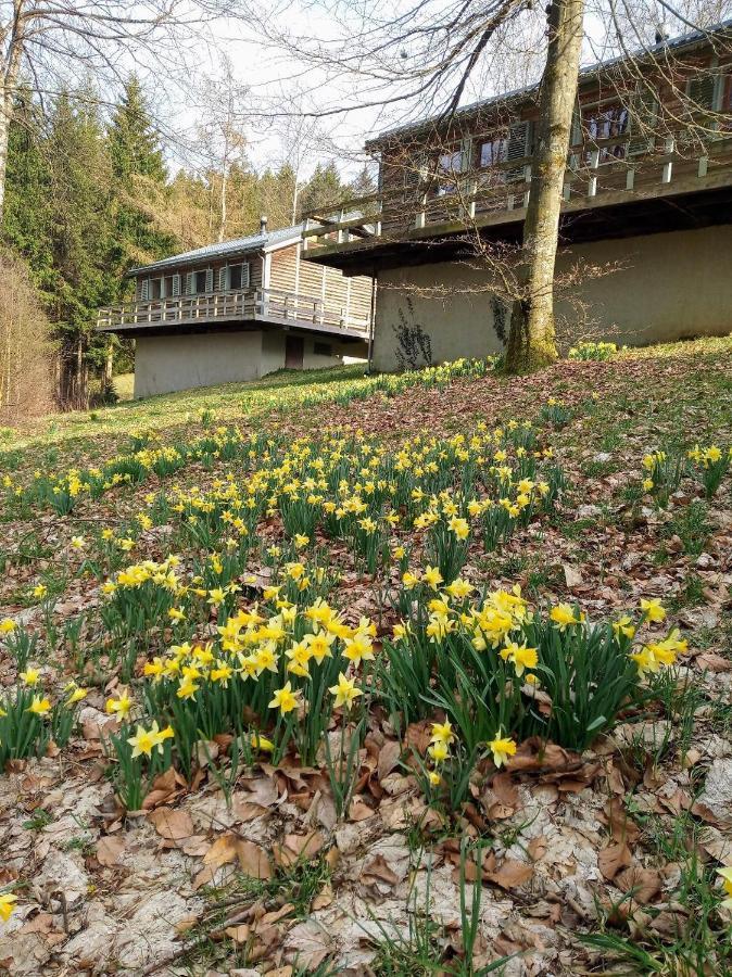 Le Nid Des Mesanges Vila Büllingen Exterior foto